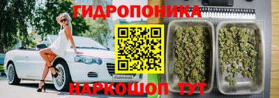 Альфа ПВП Пенза