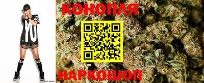 Альфа ПВП Пенза