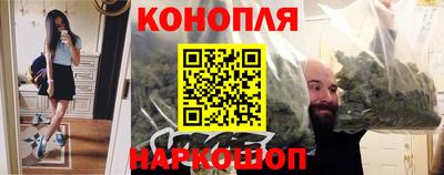 Альфа ПВП Пенза