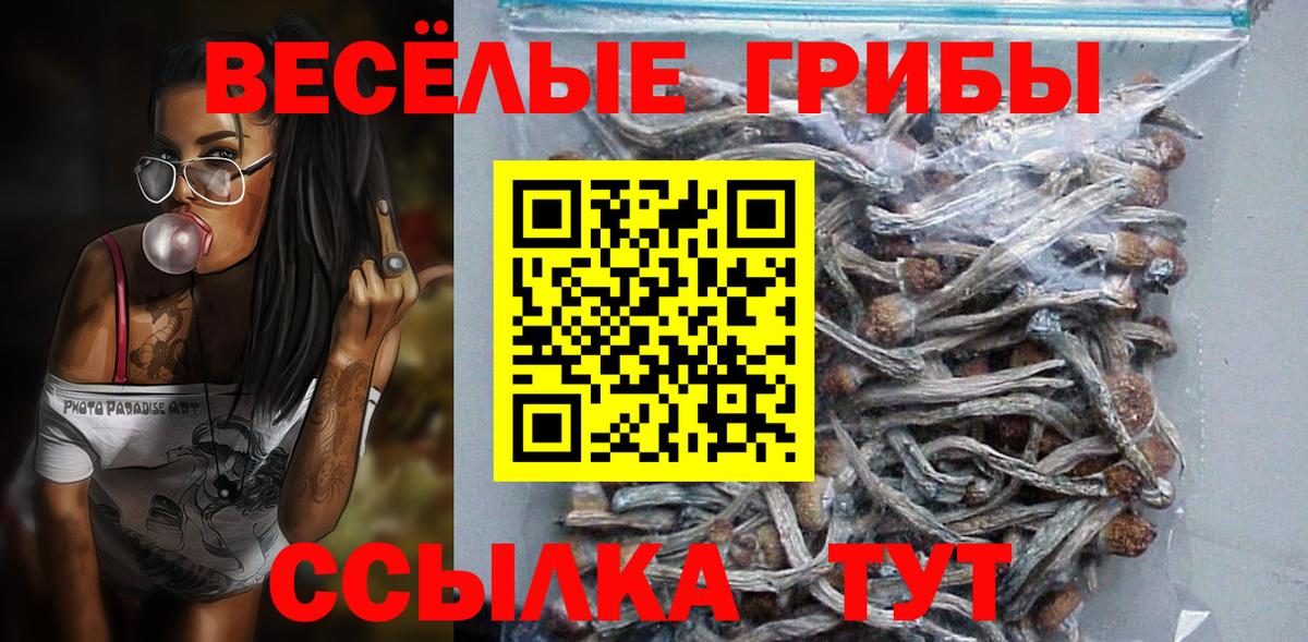 купить закладку  Галлюциногенные грибы Magic Shrooms  Вход с VPN  Галлюциногенные грибы мицелий  Троицк 