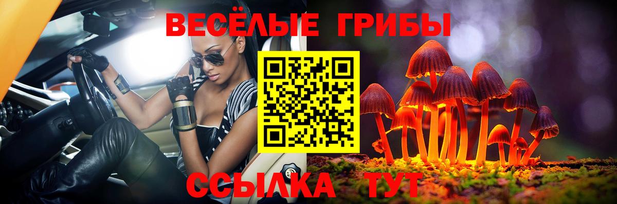 Псилоцибиновые грибы прущие грибы Троицк